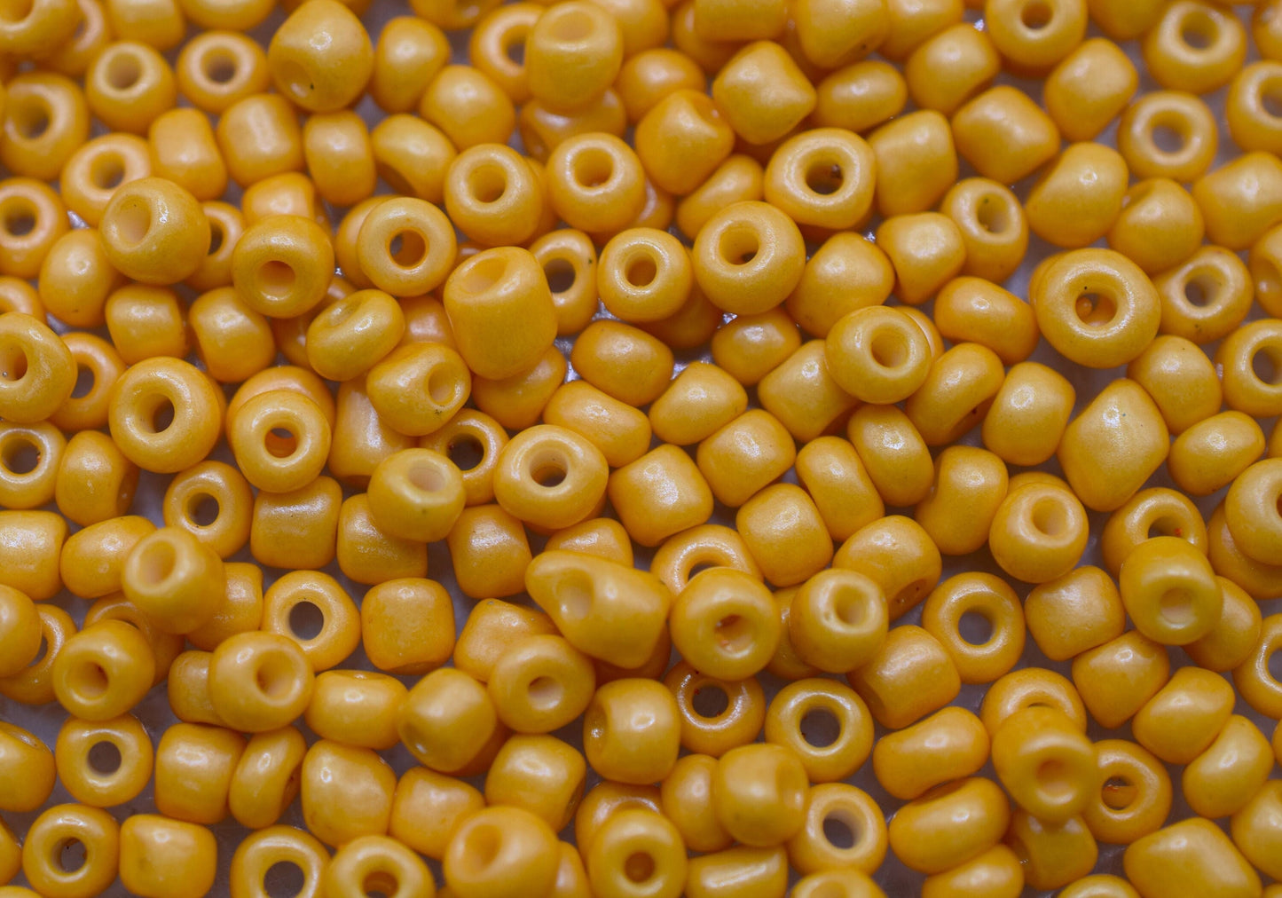 Glass Seed Beads – Size 6/0 Round Beads for DIY Jewelry Making, Earring, Bracelet, Necklace, Waist Beads, Anklets, Craft S...