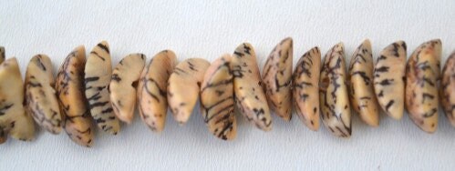 14x6mm Spotted Coconut Beads Sold by 1 strand of 90pcs, 1mm hole opening, 23.6grams/pk jewelry making supplies - detail im...