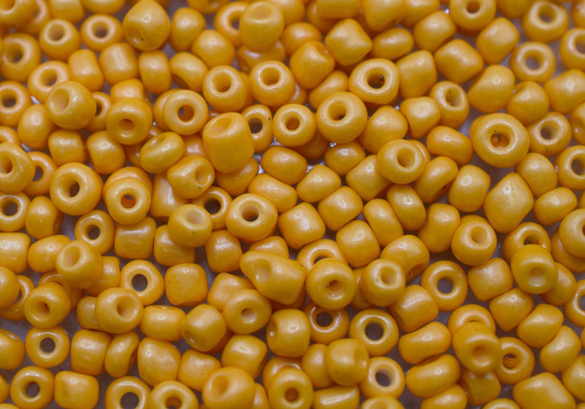 Glass Seed Beads – Size 6/0 Round Beads for DIY Jewelry Making, Earring, Bracelet, Necklace, Waist Beads, Anklets, Craft S...