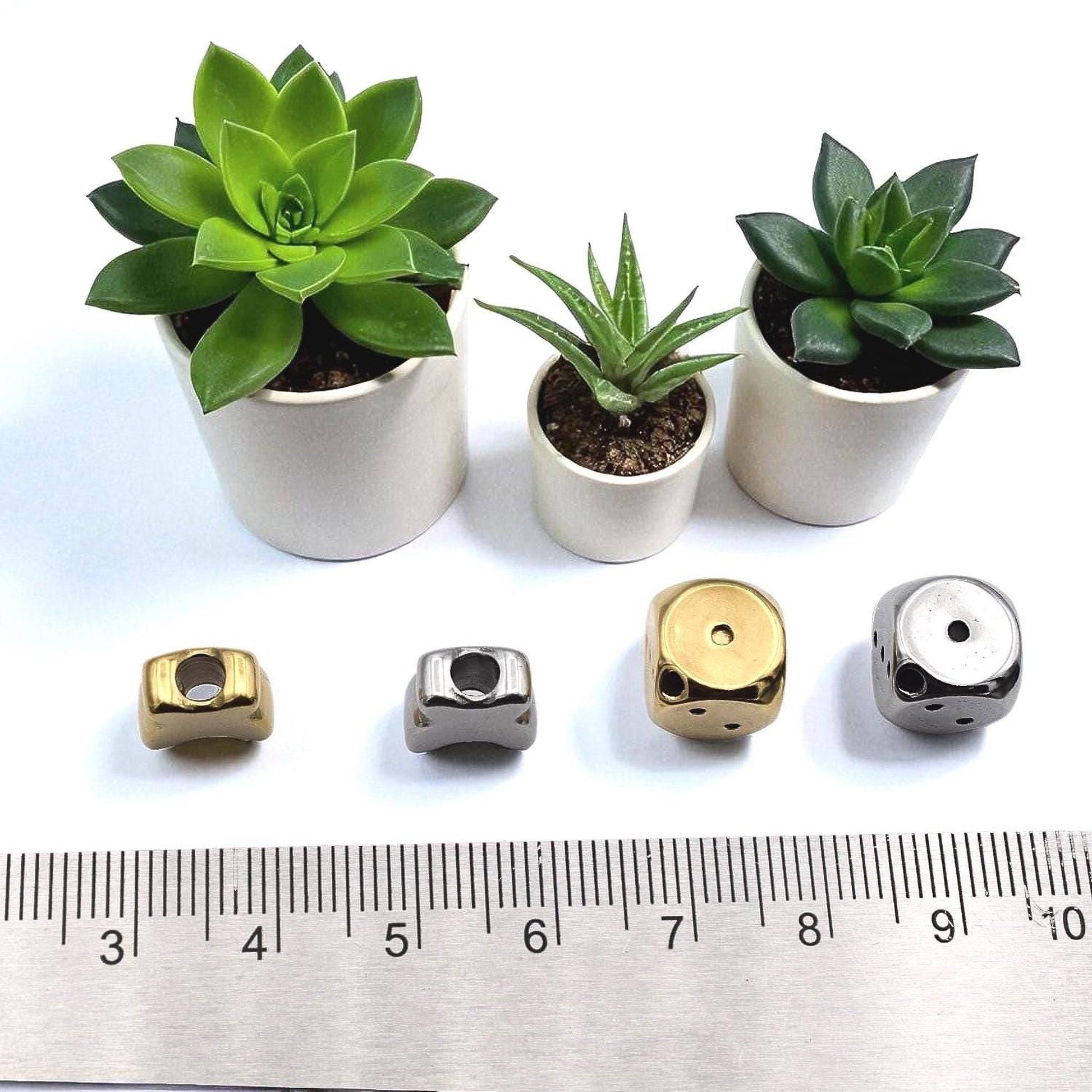 three potted succulent plants and four metal beads or charms of various sizes, arranged on a white surface with a ruler for scale.
