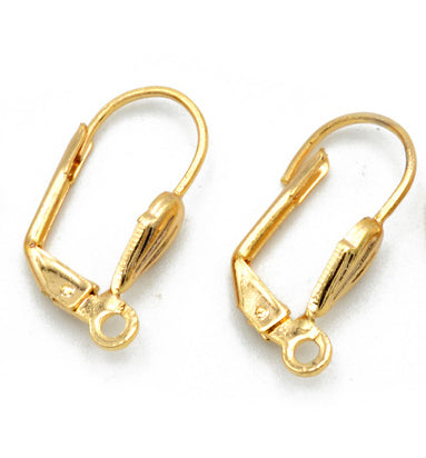 Premium Gold-Filled Earring Hooks - Assorted Designs for Dangling Jewelry BeadsFindingDepot
